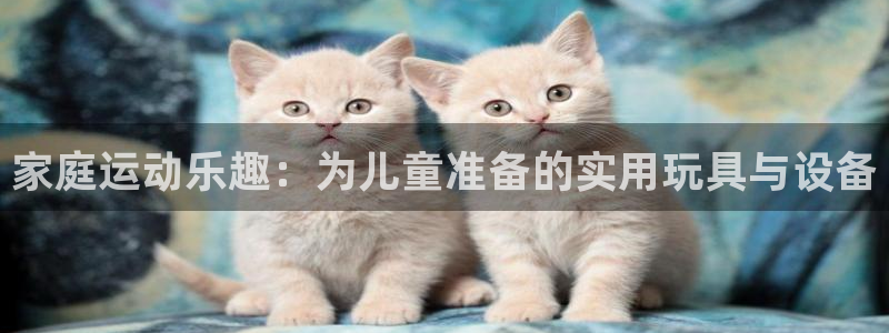 征途国际招商电话地址是多少：家庭运动乐趣：为儿童准备
