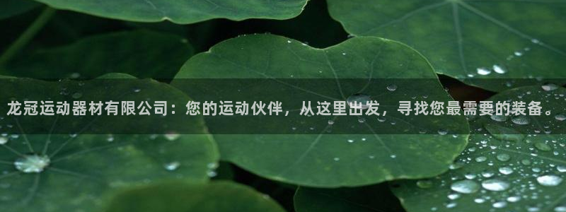征途国际平台注册要钱吗：龙冠运动器材有限公司：您的运