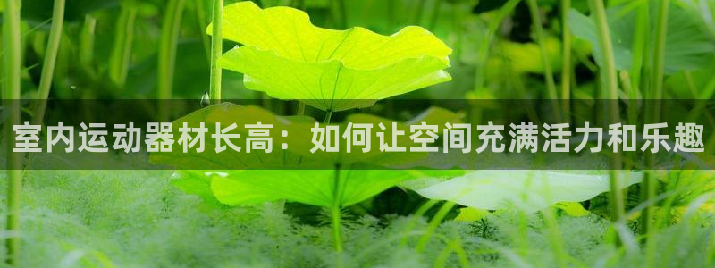 征途国际开户：室内运动器材长高：如何让空间充满活力和