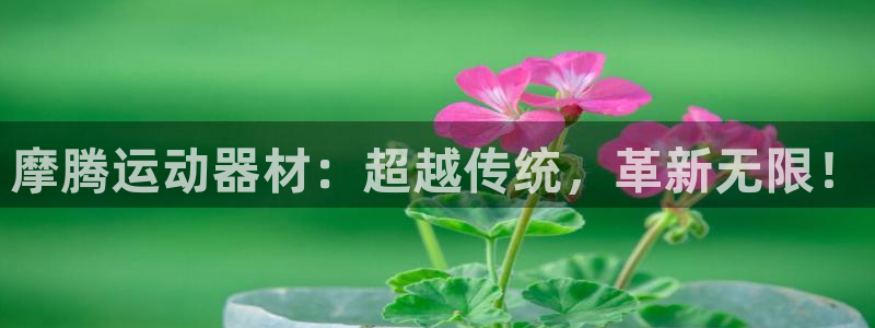 征途国际娱乐首页官网下载：摩腾运动器材：超越传统，革新无限！