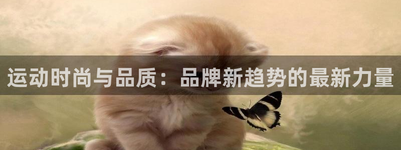 征途国际官方：运动时尚与品质：品牌新趋势的最新力量