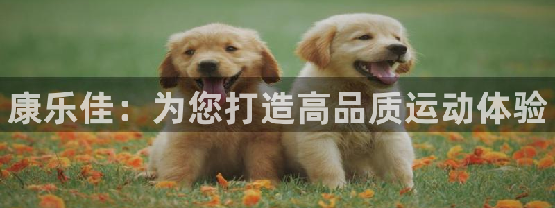 征途国际神州：康乐佳：为您打造高品质运动体验