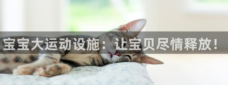 征途国际集团官网：宝宝大运动设施：让宝贝尽情释放！
