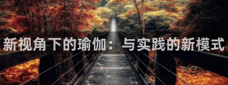 德国征途国际集团：新视角下的瑜伽：与实践的新模式