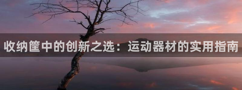 征途国际平台注册要钱吗是真的吗：收纳筐中的创新之选：运动器材