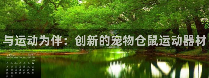 征途国际招商电话号码查询：与运动为伴：创新的宠物仓鼠