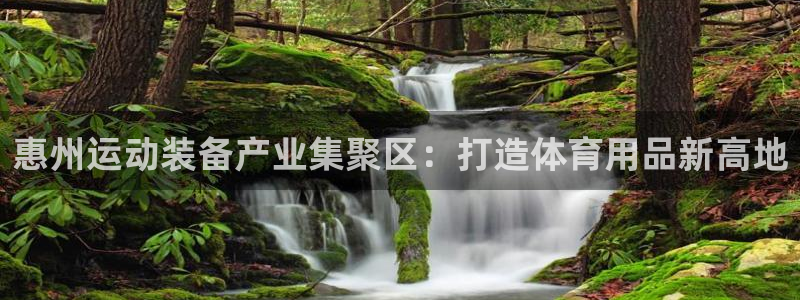 征途国际联系电话