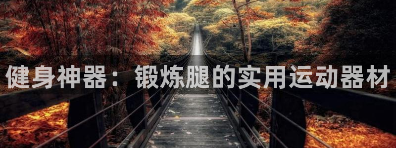 征途国际五金厂：健身神器：锻炼腿的实用运动器材
