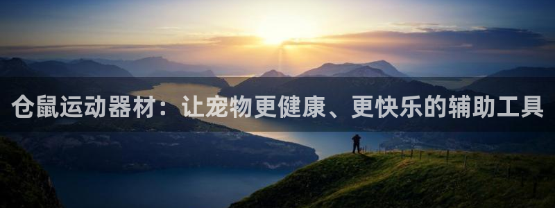征途国际平台