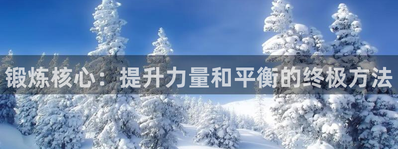 征途国际招商电话号码查询是多少：锻炼核心：提升力量和平衡的终