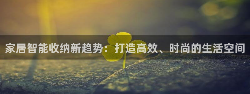 征途国际集团