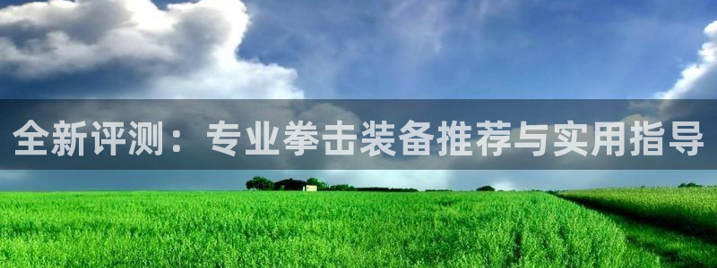 征途国际招商电话号码：全新评测：专业拳击装备推荐与实用指导