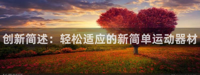 征途国际娱乐平台：创新简述：轻松适应的新简单运动器材
