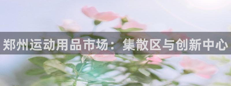 征途国际五金厂：郑州运动用品市场：集散区与创新中心