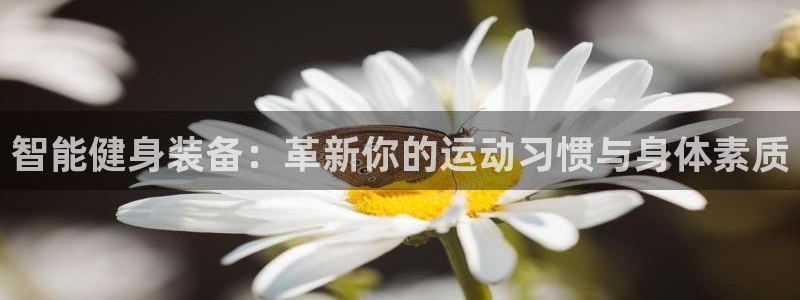 征途国际招商电话号码查询：智能健身装备：革新你的运动