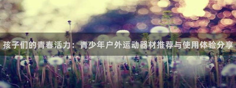 征途国际平台是正规平台吗：孩子们的青春活力：青少年户外运动器