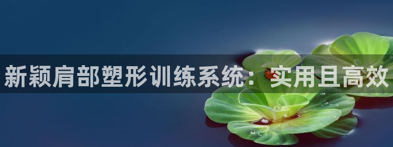 征途国际招商电话地址查询：新颖肩部塑形训练系统：实用且高效