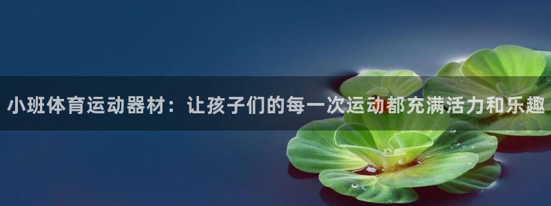 征途国际娱乐平台：小班体育运动器材：让孩子们的每一次运动都充