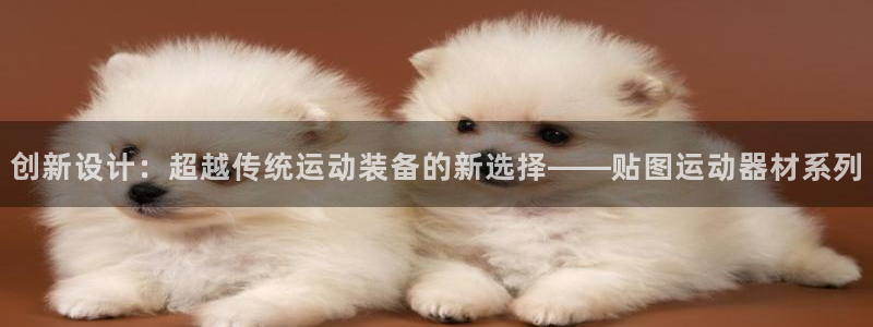 征途国际招商电话是多少啊