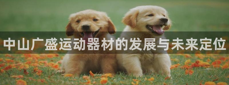 征途国际娱乐下载：中山广盛运动器材的发展与未来定位