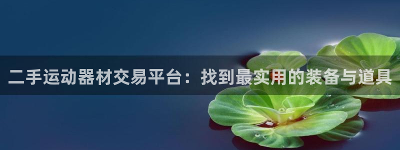 征途国际平台注册要钱吗安全吗：二手运动器材交易平台：找到最实