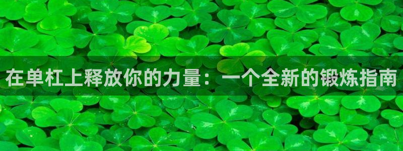 征途国际娱乐网站：在单杠上释放你的力量：一个全新的锻炼指南